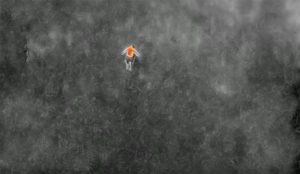 Search and Rescue met drone